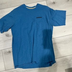 Patagonia Blue Shirt